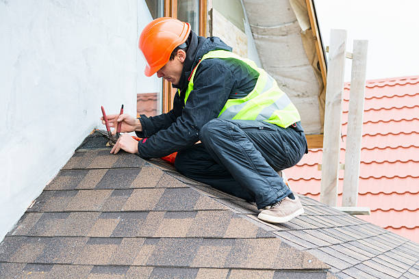 Best Roof Gutter Cleaning  in Folsom, NJ